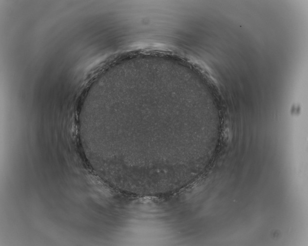X0000091330966200709071153