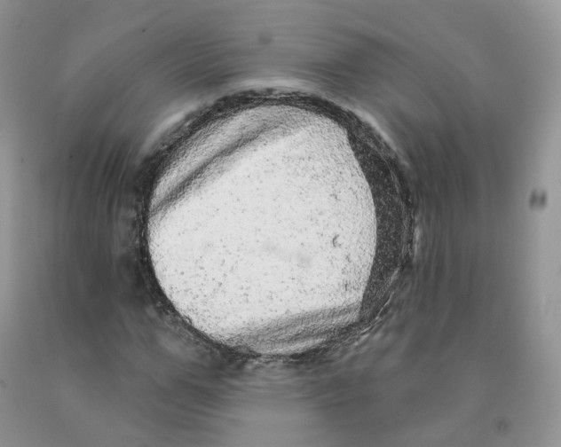 X0000091330967200709071153