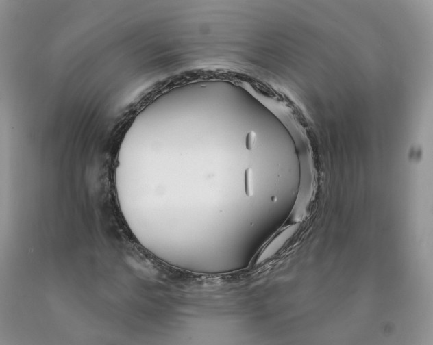 X0000091330968200709071153