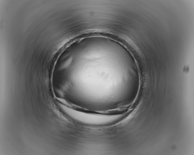 X0000091330969200709071153