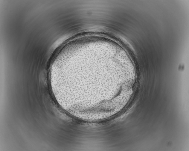 X0000091330970200709071153