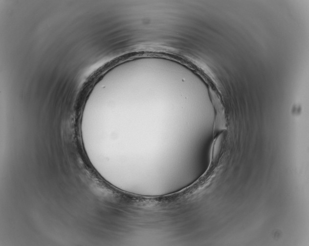 X0000091330971200709071153