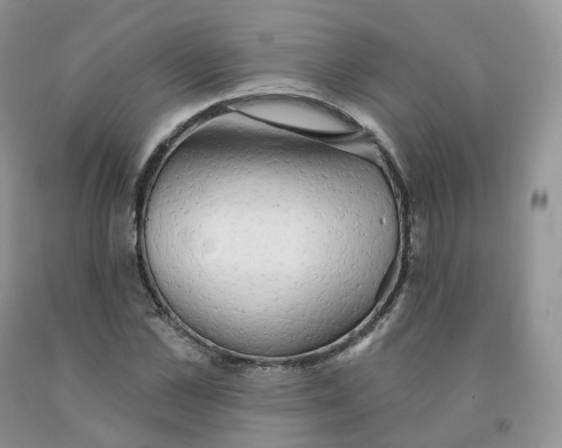 X0000091330973200709071153