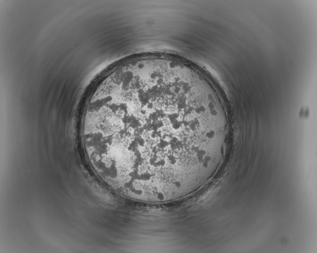 X0000091330975200709071153