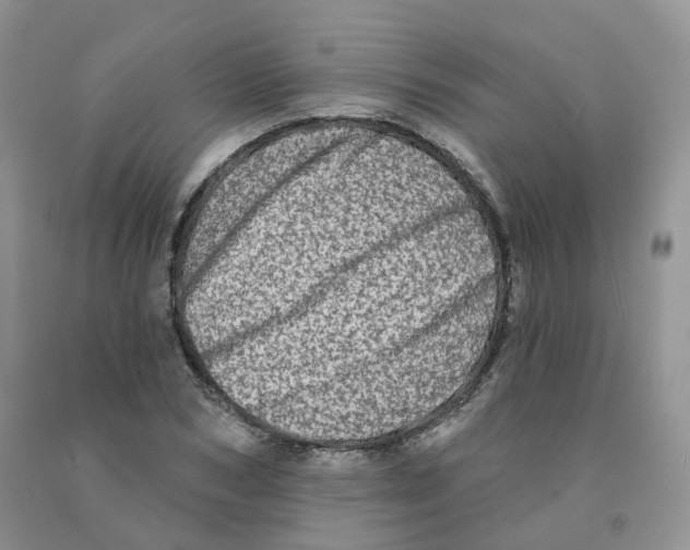 X0000091330978200709071153