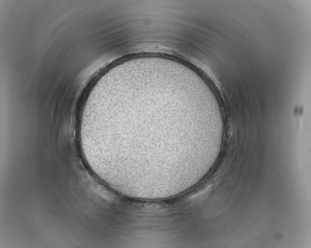X0000091330979200709071153