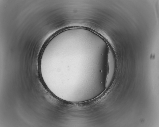 X0000091330980200709071153