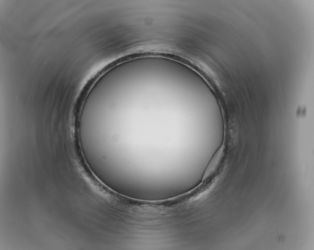 X0000091330981200709071153