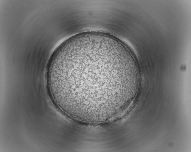 X0000091330983200709071153