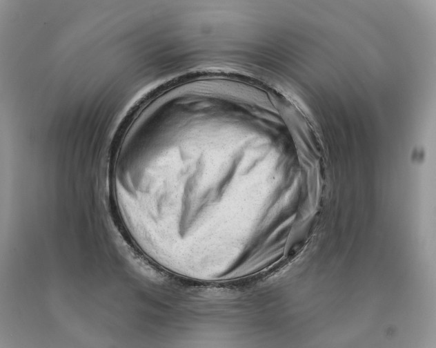 X0000091330984200709071153