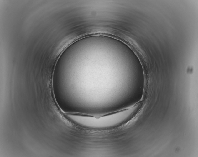 X0000091330985200709071153