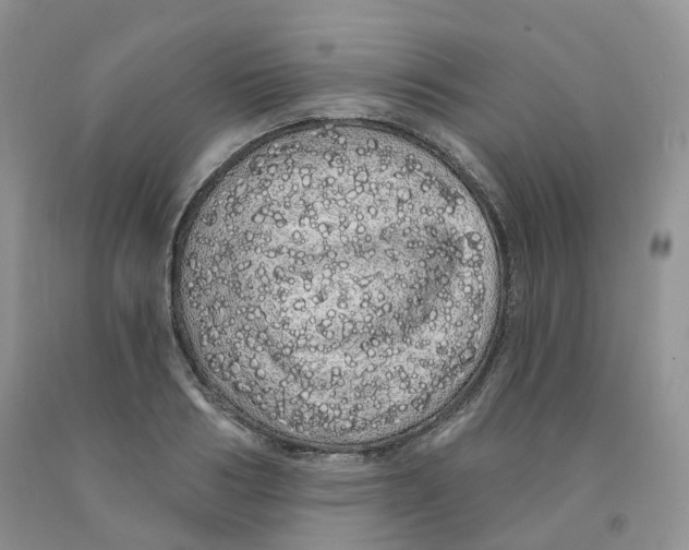 X0000091330986200709071153