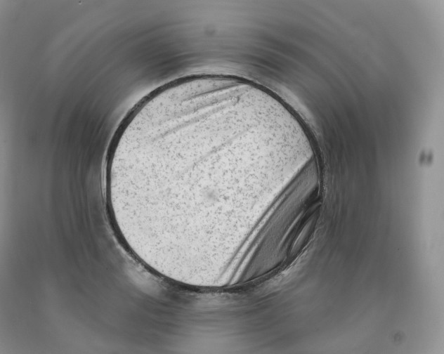 X0000091330988200709071153