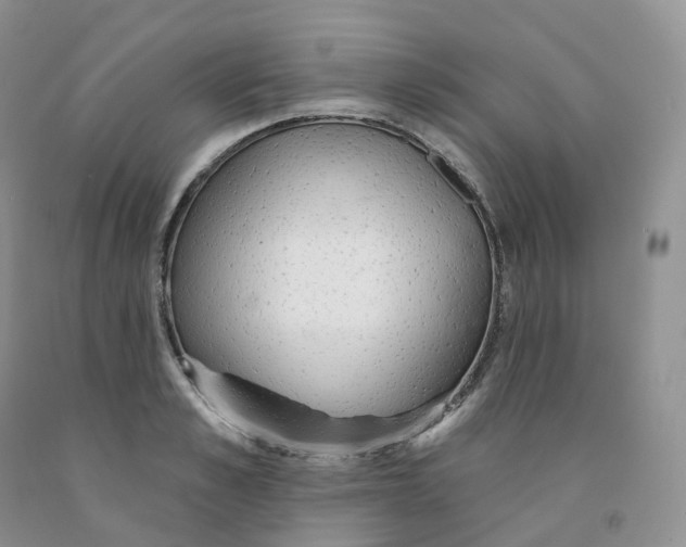 X0000091330989200709071153