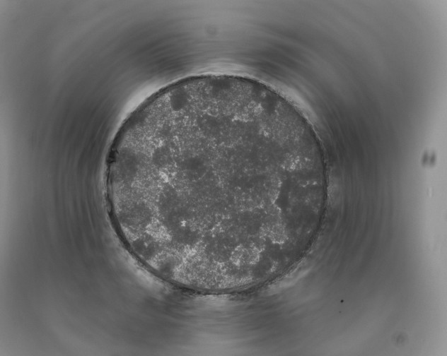 X0000091330990200709071153