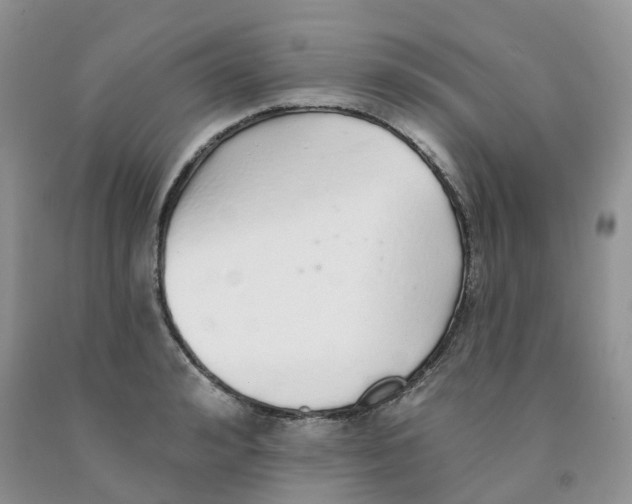 X0000091330992200709071153