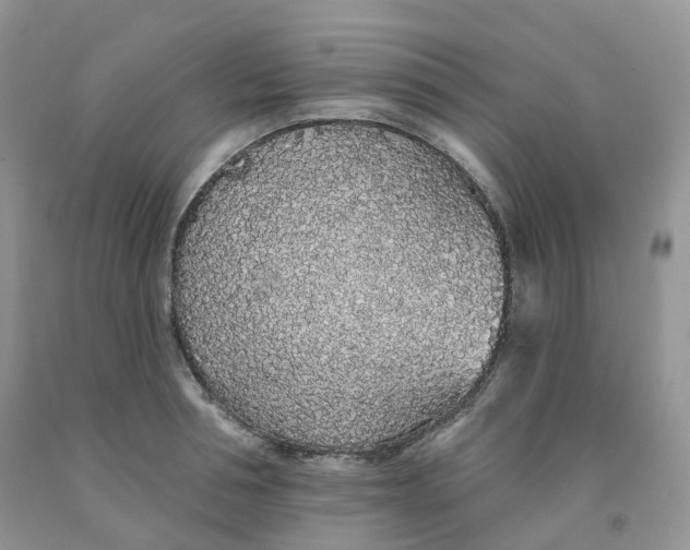 X0000091330994200709071153