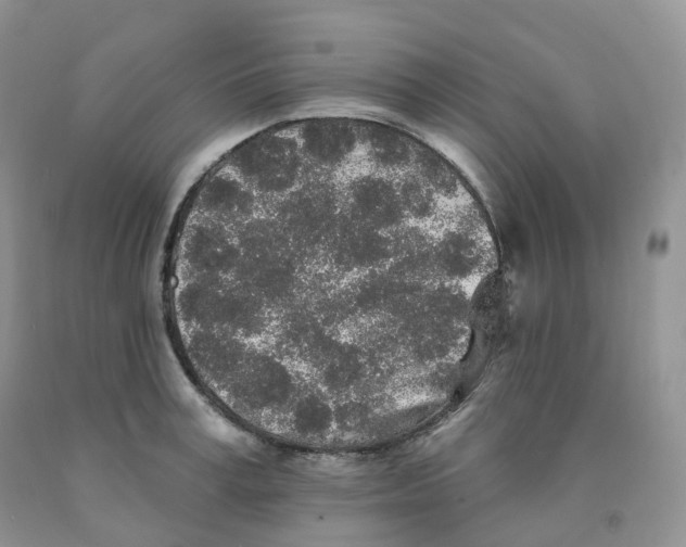 X0000091330995200709071153