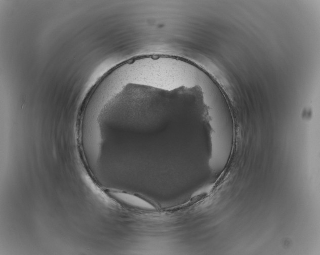 X0000091330998200709071153