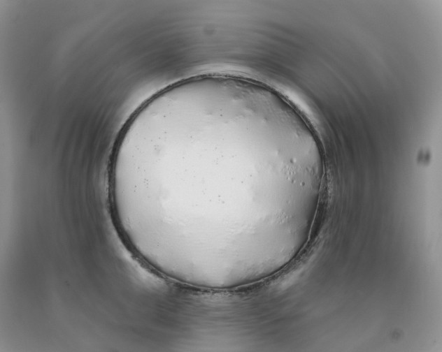 X0000091330999200709071153
