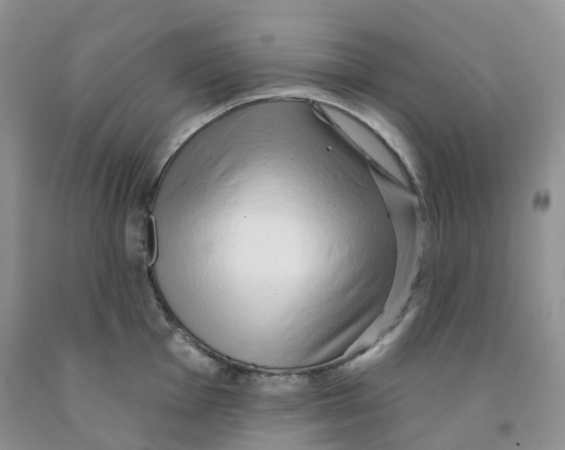 X0000091331001200709071153