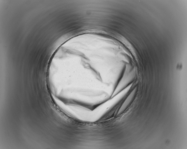 X0000091331002200709071153