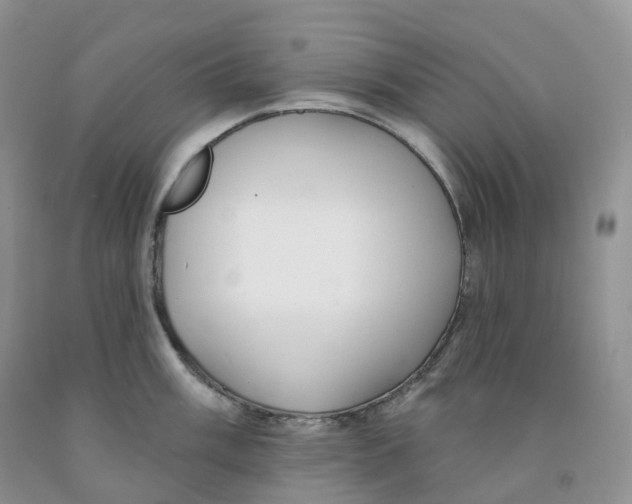 X0000091331003200709071153