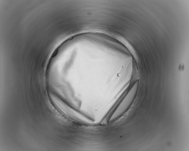 X0000091331004200709071153