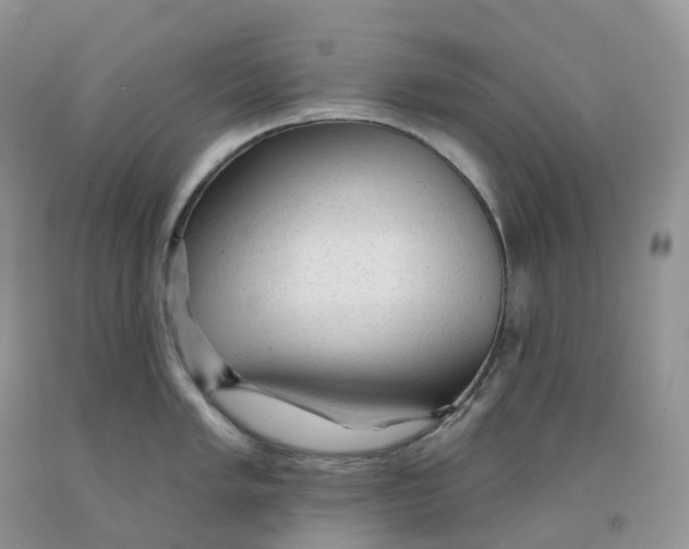 X0000091331005200709071153
