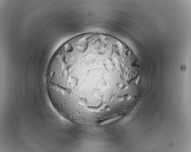X0000091331007200709071153