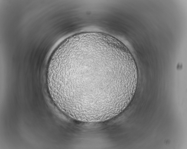 X0000091331008200709071153