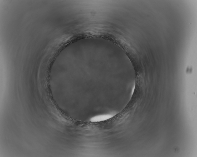 X0000091331009200709071152