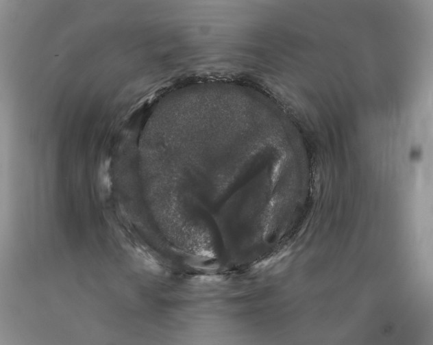 X0000091331010200709071152