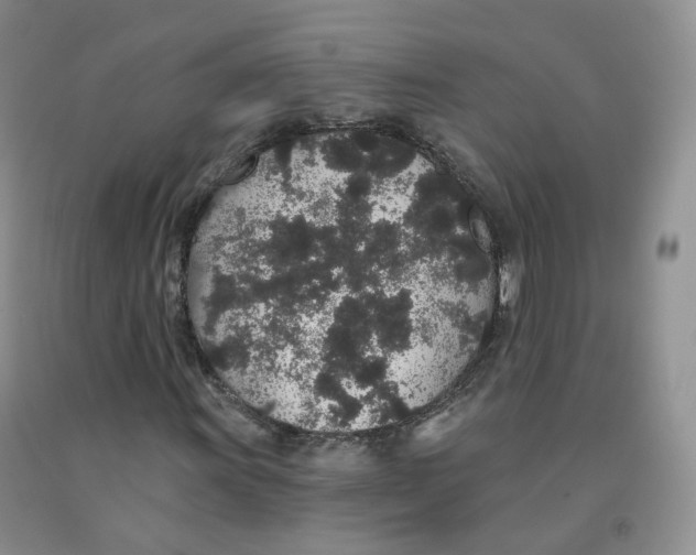 X0000091331011200709071152