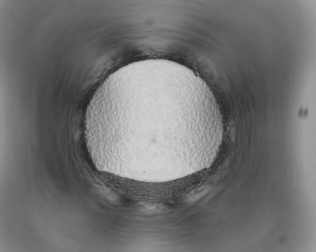 X0000091331012200709071152