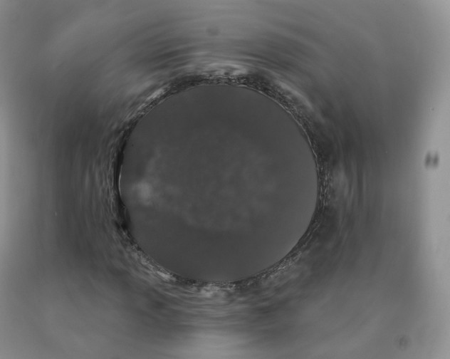 X0000091331013200709071152