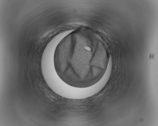 X0000091331014200709071152