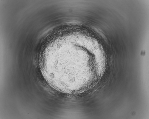X0000091331015200709071152