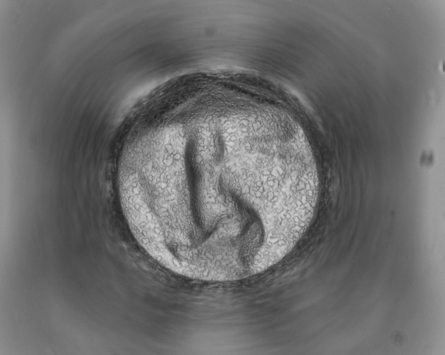 X0000091331016200709071152