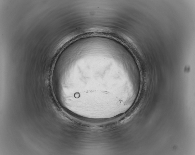 X0000091331017200709071152