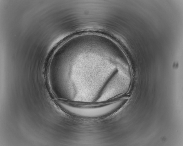X0000091331018200709071152