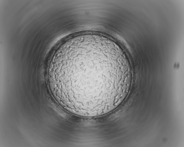 X0000091331019200709071152