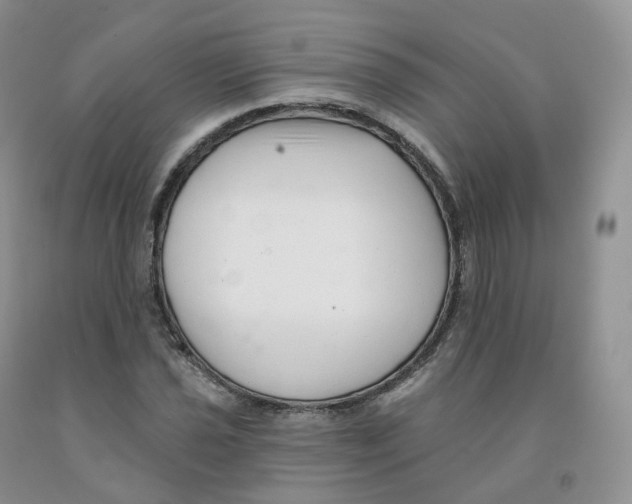 X0000091331021200709071152