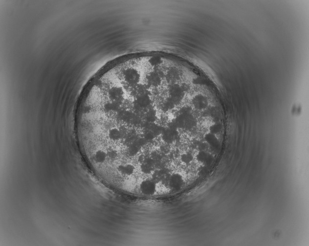 X0000091331023200709071152
