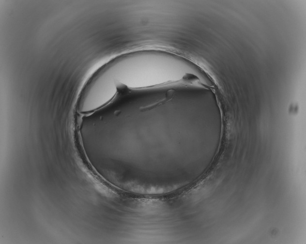 X0000091331024200709071152