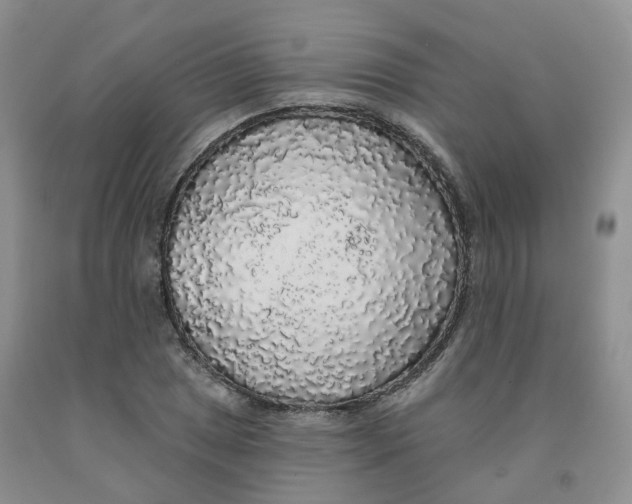 X0000091331025200709071152