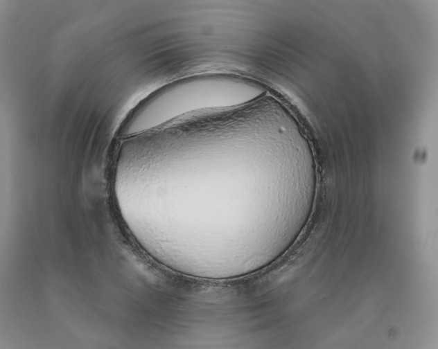 X0000091331026200709071152
