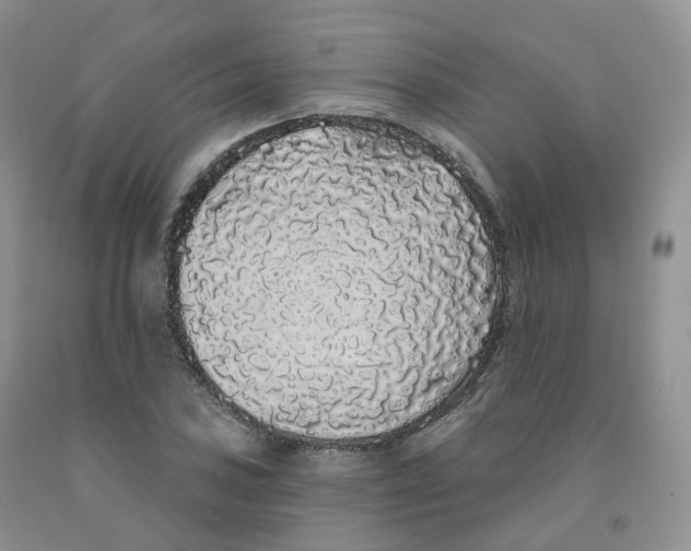 X0000091331027200709071152