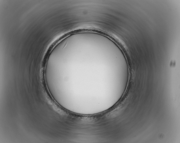 X0000091331029200709071152