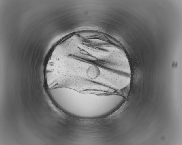 X0000091331030200709071152